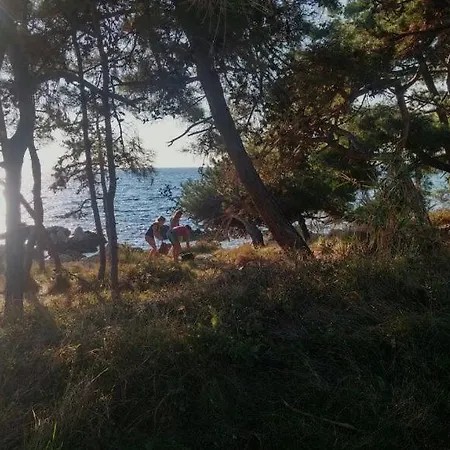 Seaview Maria-antonia * Замбратия
